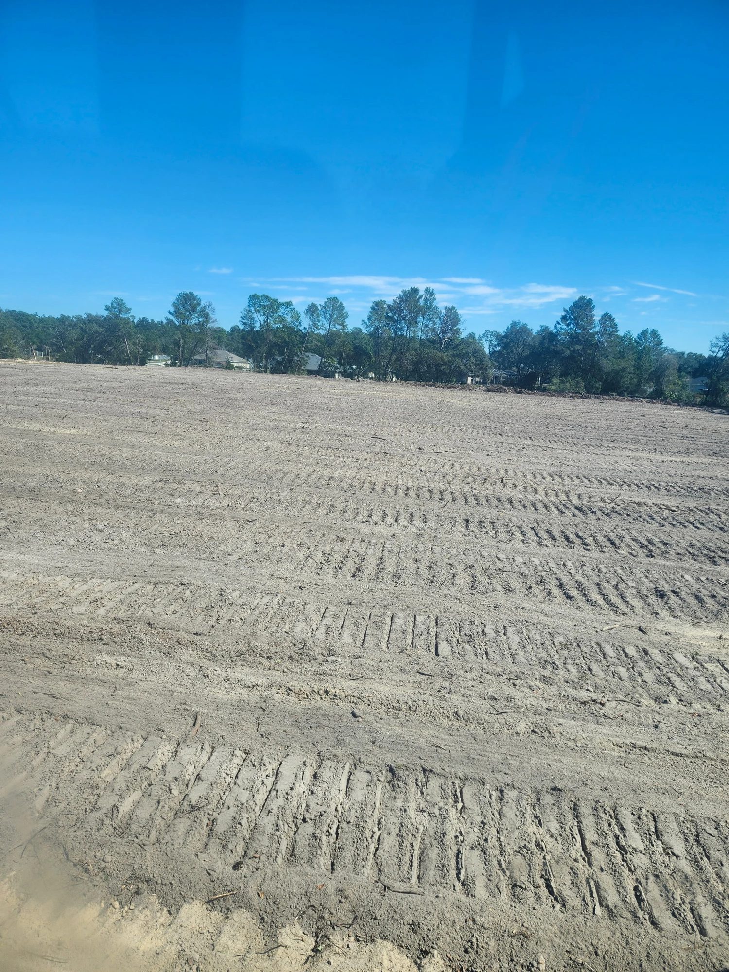 Full Lot Strip & Clear